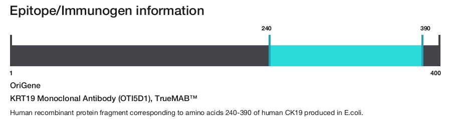 KRT19 Monoclonal Antibody (OTI5D1), TrueMAB&trade;