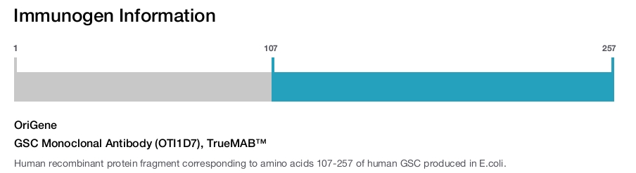 GSC Monoclonal Antibody (OTI1D7), TrueMAB&trade;