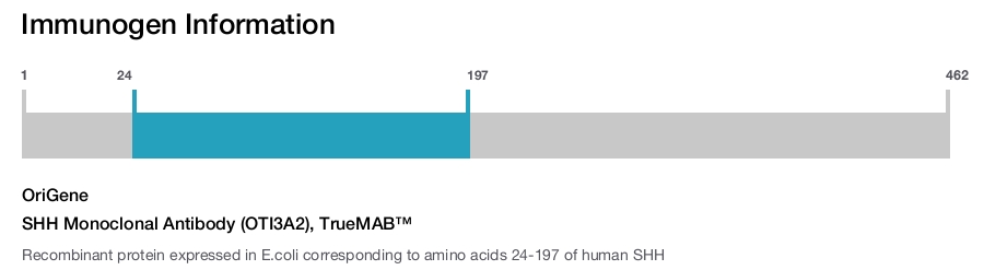 SHH Monoclonal Antibody (OTI3A2), TrueMAB&trade;