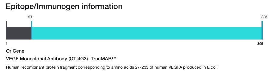 VEGF Monoclonal Antibody (OTI4G3), TrueMAB&trade;