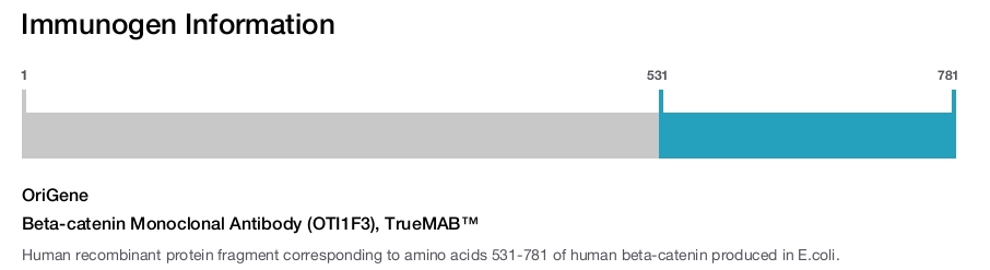 Beta-catenin Monoclonal Antibody (OTI1F3), TrueMAB&trade;