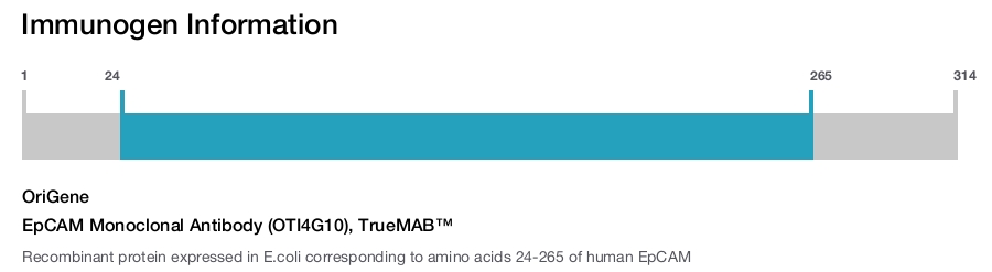 EpCAM Monoclonal Antibody (OTI4G10), TrueMAB&trade;