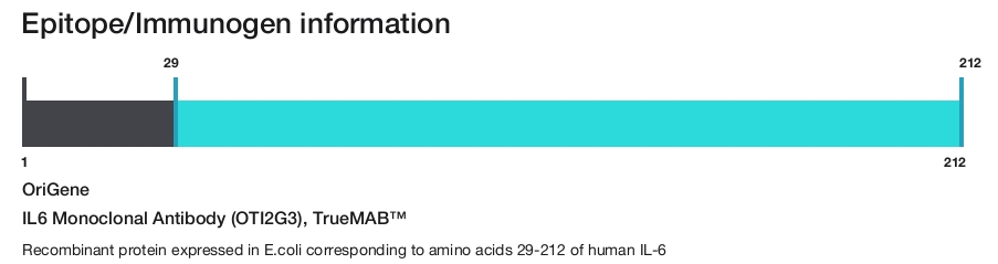 IL6 Monoclonal Antibody (OTI2G3), TrueMAB&trade;