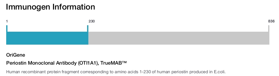 Periostin Monoclonal Antibody (OTI1A1), TrueMAB&trade;