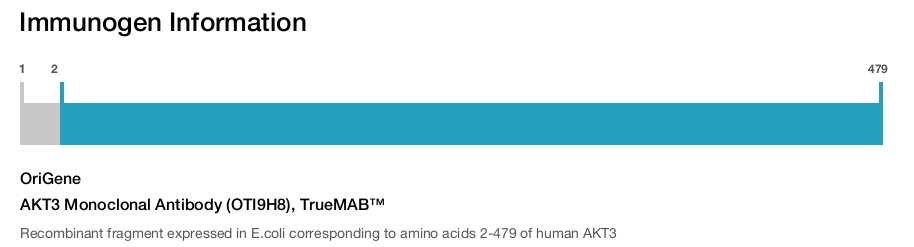 AKT3 Monoclonal Antibody (OTI9H8), TrueMAB&trade;