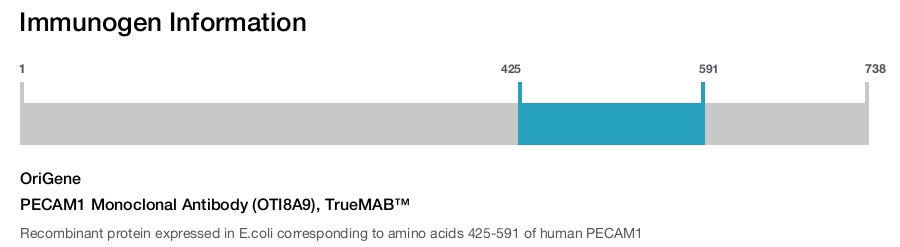 PECAM1 Monoclonal Antibody (OTI8A9), TrueMAB&trade;