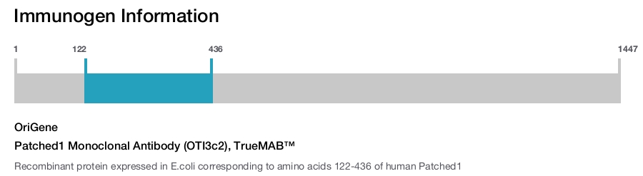 Patched1 Monoclonal Antibody (OTI3c2), TrueMAB&trade;