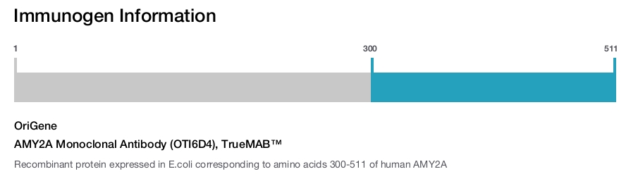 AMY2A Monoclonal Antibody (OTI6D4), TrueMAB&trade;