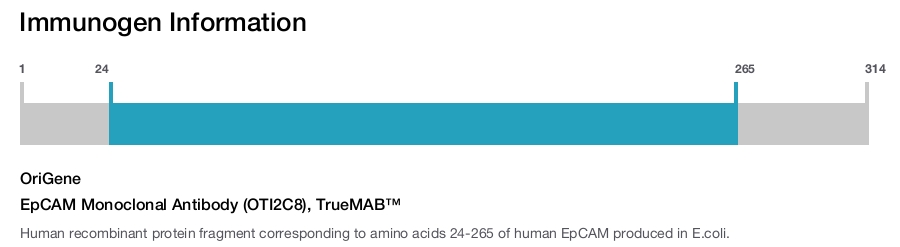 EpCAM Monoclonal Antibody (OTI2C8), TrueMAB&trade;