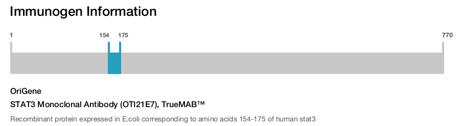 STAT3 Monoclonal Antibody (OTI21E7), TrueMAB&trade;