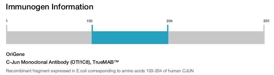 C-Jun Monoclonal Antibody (OTI1C8), TrueMAB&trade;