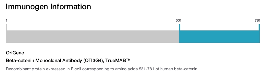 Beta-catenin Monoclonal Antibody (OTI3G4), TrueMAB&trade;