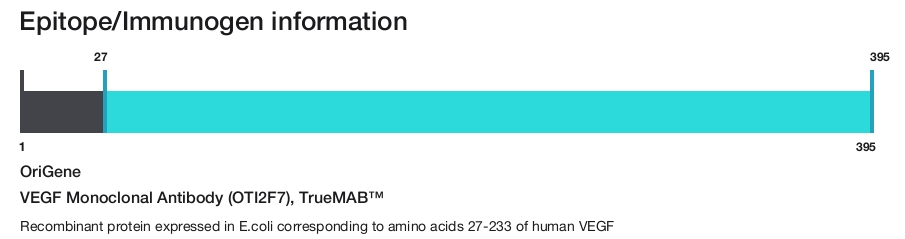 VEGF Monoclonal Antibody (OTI2F7), TrueMAB&trade;