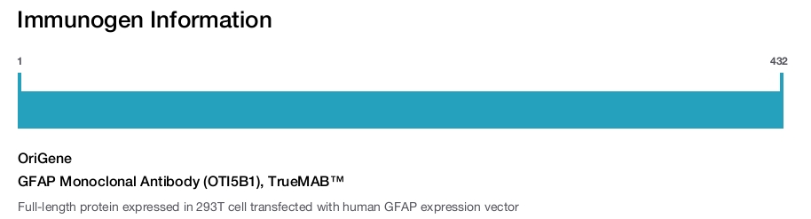 GFAP Monoclonal Antibody (OTI5B1), TrueMAB&trade;