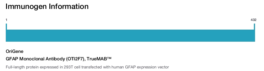 GFAP Monoclonal Antibody (OTI2F7), TrueMAB&trade;