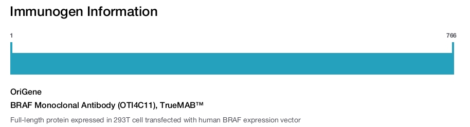 BRAF Monoclonal Antibody (OTI4C11), TrueMAB&trade;