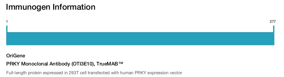 PRKY Monoclonal Antibody (OTI3E10), TrueMAB&trade;