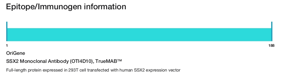SSX2 Monoclonal Antibody (OTI4D10), TrueMAB&trade;