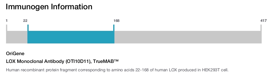 LOX Monoclonal Antibody (OTI10D11), TrueMAB&trade;