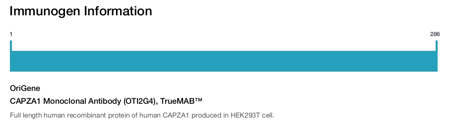 CAPZA1 Monoclonal Antibody (OTI2G4), TrueMAB&trade;