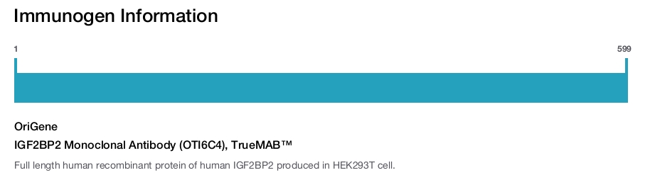 IGF2BP2 Monoclonal Antibody (OTI6C4), TrueMAB&trade;