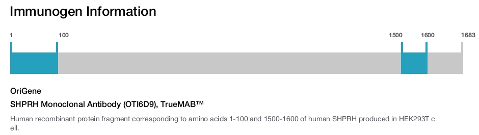 SHPRH Monoclonal Antibody (OTI6D9), TrueMAB&trade;