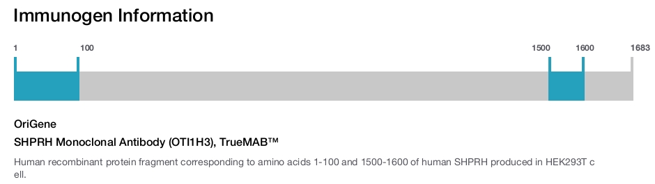 SHPRH Monoclonal Antibody (OTI1H3), TrueMAB&trade;