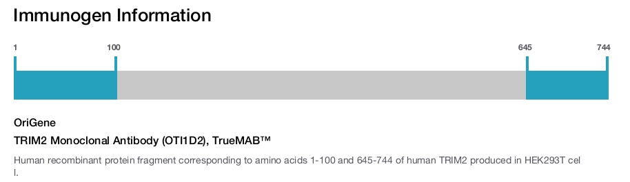 TRIM2 Monoclonal Antibody (OTI1D2), TrueMAB&trade;