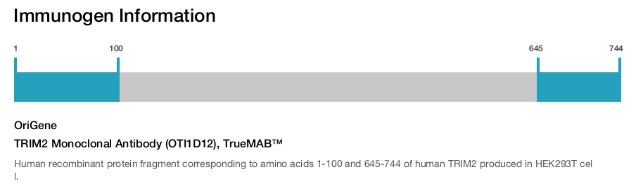 TRIM2 Monoclonal Antibody (OTI1D12), TrueMAB&trade;