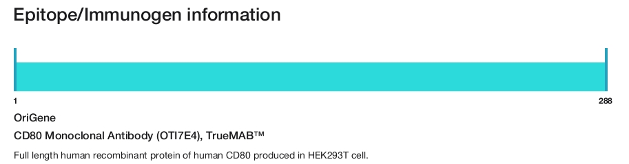 CD80 Monoclonal Antibody (OTI7E4), TrueMAB&trade;