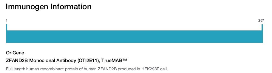 ZFAND2B Monoclonal Antibody (OTI2E11), TrueMAB&trade;