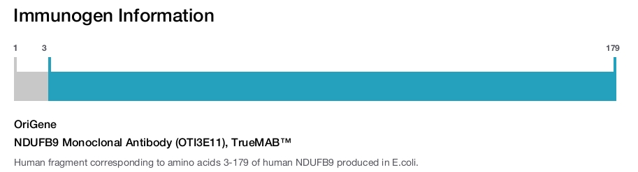 NDUFB9 Monoclonal Antibody (OTI3E11), TrueMAB&trade;