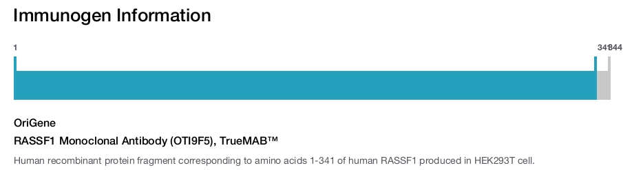 RASSF1 Monoclonal Antibody (OTI9F5), TrueMAB&trade;