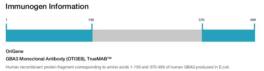GBA3 Monoclonal Antibody (OTI3E8), TrueMAB&trade;