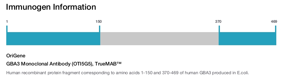 GBA3 Monoclonal Antibody (OTI5G5), TrueMAB&trade;