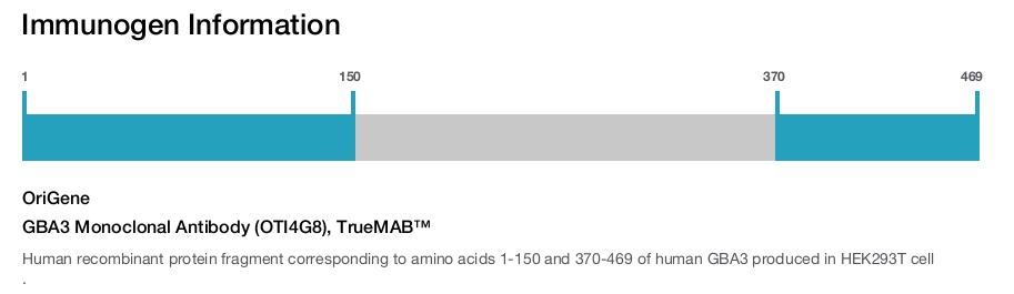 GBA3 Monoclonal Antibody (OTI4G8), TrueMAB&trade;