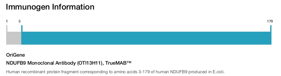 NDUFB9 Monoclonal Antibody (OTI13H11), TrueMAB&trade;