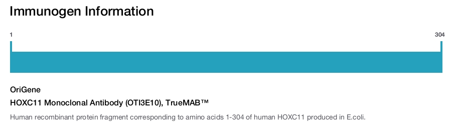 HOXC11 Monoclonal Antibody (OTI3E10), TrueMAB&trade;