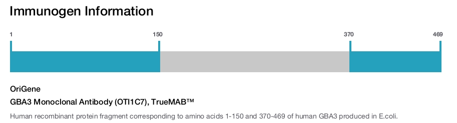 GBA3 Monoclonal Antibody (OTI1C7), TrueMAB&trade;