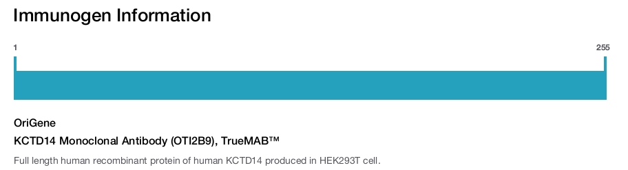KCTD14 Monoclonal Antibody (OTI2B9), TrueMAB&trade;