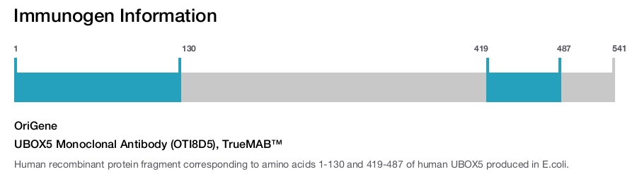 UBOX5 Monoclonal Antibody (OTI8D5), TrueMAB&trade;