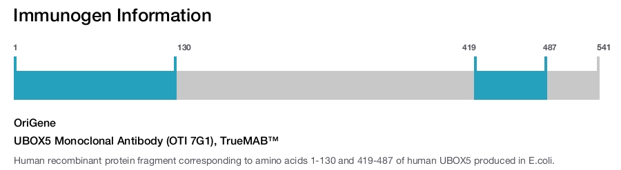 UBOX5 Monoclonal Antibody (OTI 7G1), TrueMAB&trade;