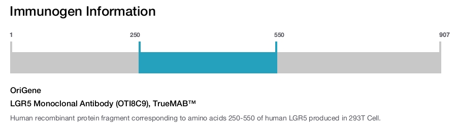 LGR5 Monoclonal Antibody (OTI8C9), TrueMAB&trade;