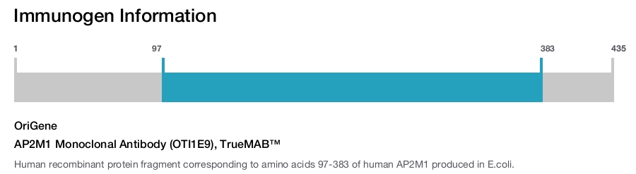 AP2M1 Monoclonal Antibody (OTI1E9), TrueMAB&trade;