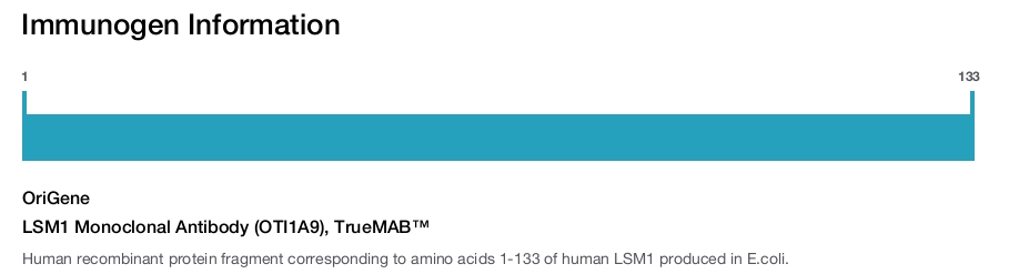 LSM1 Monoclonal Antibody (OTI1A9), TrueMAB&trade;