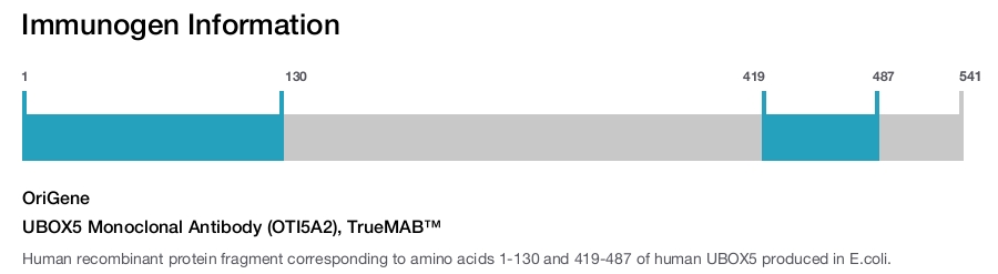UBOX5 Monoclonal Antibody (OTI5A2), TrueMAB&trade;