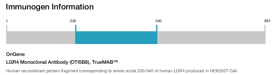 LGR4 Monoclonal Antibody (OTI5B8), TrueMAB&trade;