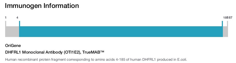 DHFRL1 Monoclonal Antibody (OTI1E2), TrueMAB&trade;