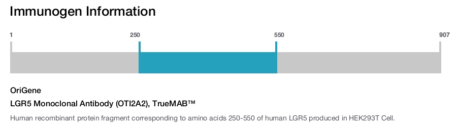 LGR5 Monoclonal Antibody (OTI2A2), TrueMAB™