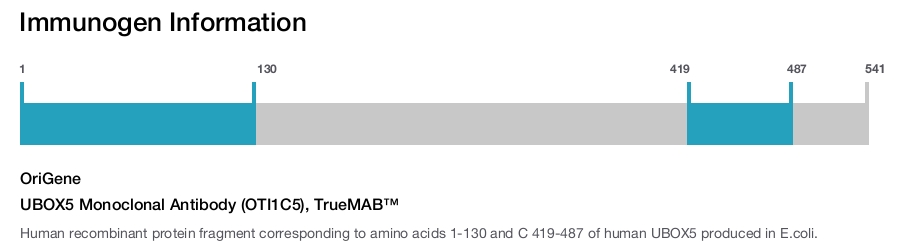 UBOX5 Monoclonal Antibody (OTI1C5), TrueMAB&trade;